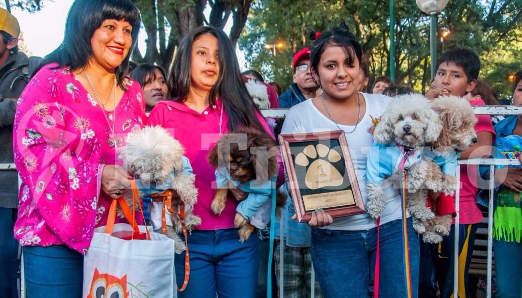 El desfile de mascotas. Fotos: Pablo Yapura El desfile de mascotas. Fotos: Pablo Yapura