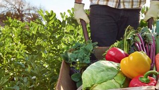 Simplifican el acceso a la asistencia para los productores