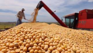 El Estado castiga más a la producción en Salta que en otras provincias