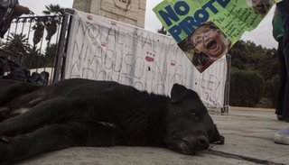 Quieren una legislación más dura contra la pirotecnia