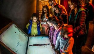 Arte e historia formaron parte de la agenda de miles de salteños
