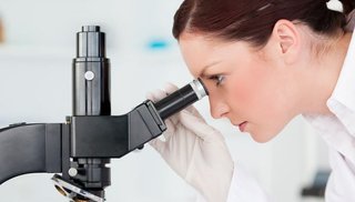 Nuevos caminos para los clones: transgénesis y xenotransplantes