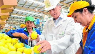 Los limones argentinos vuelven a los Estados Unidos