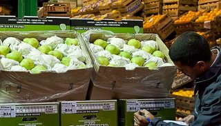 La exportación de peras y manzanas está interrumpida por el conflicto laboral en el Senasa