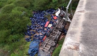 VIDEO. En el mismo lugar donde fue la tragedia de los gendarmes, desbarrancó un camión y su chofer se salvó de milagro