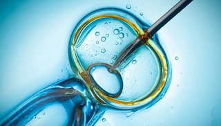 Mitos y verdades sobre los tratamientos de reproducción asistida