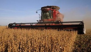 Fuerte reacción del campo ante una eventual suspensión de la baja en las retenciones