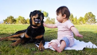 Su madre lo abandonó y un rotweiller lo cuidó durante toda una noche