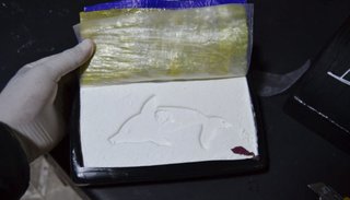 Pareja detenida en Tres Cruces con cocaína