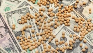 Por qué los exportadores se negaron a vender dólares e hicieron que suba la divisa