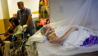 Dengue: 358 casos confirmados y 1.100 fichas de pacientes con fiebre