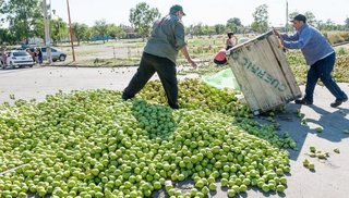 Tras el cierre de La Campagnola temen la "desaparición" de la actividad frutihortícola