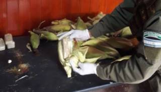 Traficaba cocaína en choclos blancos