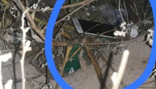 Dos delincuentes apresados por el robo de un celular