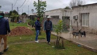 Se tornan incontrolables los animales callejeros