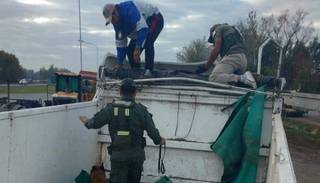 Golpe al narcotráfico: incautaron 272 kg de cocaína procedente de Salvador Mazza