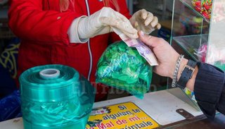 El coqueo mueve 24 millones de dólares por año en negro