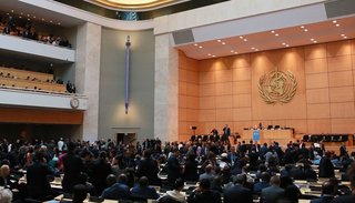 La OMS certificó que Argentina es libre de paludismo