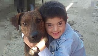 Crueldad en San Juan: envenenaron a un perro que era guía de un niño con síndrome de Down