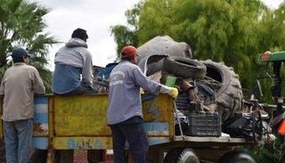 Hay preocupación por más de 300 casos confirmados de dengue en la provincia