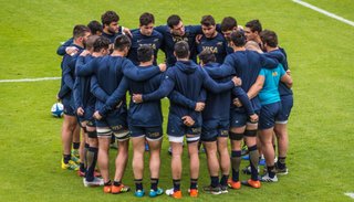 Los Pumas ya tienen un bosquejo del calendario