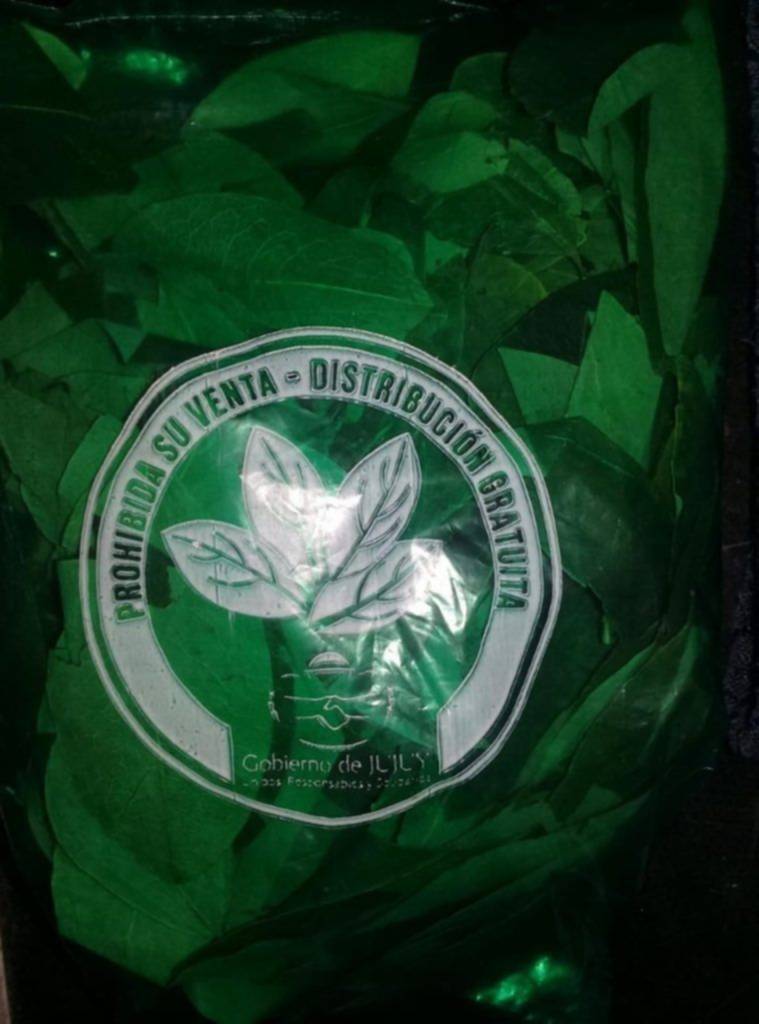 Hay más de tres mil inscriptos para recibir hojas de coca gratis