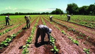 El empleo privado en Salta no logra recuperarse y sigue  por debajo del nivel de prepandemia 