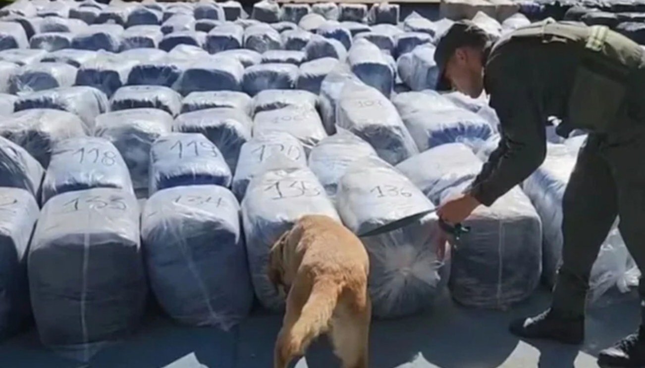 Narcotráfico: Las toneladas de hojas de coca incautada despiertan alarmas