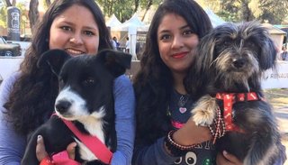 Una visita por el "Dog Day", desde el parque San Martín