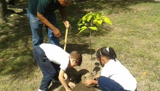 Escolares concientizarán sobre la importancia de cuidar el medioambiente