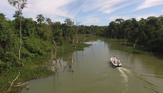 Esteros del Iberá: un viaje al refugio de la naturaleza