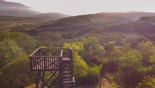 Video: Parque botánico municipal, pulmón verde de la ciudad