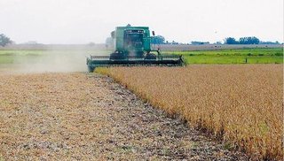 Las entidades del campo volvieron a rechazar cambios en las retenciones