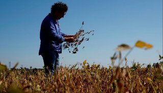 La economía cayó en mayo 2,8% y en las consultoras ya vislumbran recesión