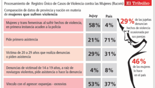 En Jujuy, el 17% de mujeres denunció un caso de violencia
