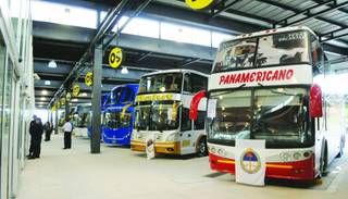 El transporte será gratis para los ciudadanos que vayan a votar el domingo en Jujuy