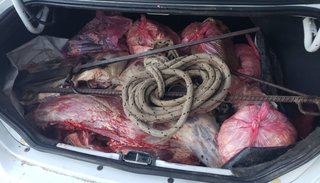 En diferentes operativos incautaron carne, animales silvestres y armas de fuego