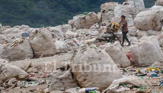 Separemos Juntos: el programa para reciclar los residuos sigue estancado