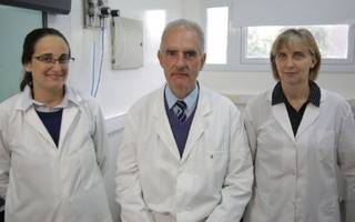 La primera bandera era azul, según científicos del Conicet