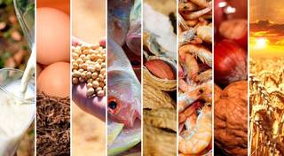 El INTI capacitará sobre los cambios en el Rotulado de Alérgenos en Alimentos