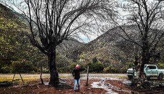 En una jornada fría y de llovizna, ¡Salta te enamora! Nevó en los cerros de Guachipas