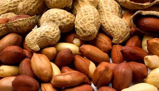 El maní cordobés es considerado el “más dulce del mundo”