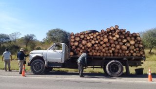 Detienen a traficantes con un camión repleto de madera