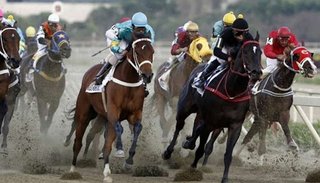 Sanción lapidaria a un jinete por dopar y provocar la muerte a un caballo