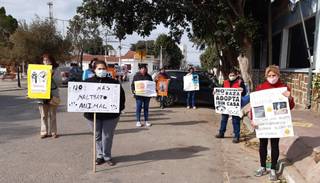 Marcharon para repudiar la muerte a balazos de un perro