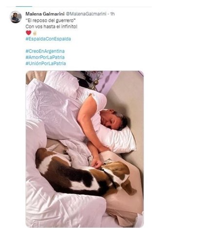 "El reposo del guerrero": la particular foto de Massa que publicó Malena Galmarini- "El reposo del guerrero": la particular foto de Massa que publicó Malena Galmarini
