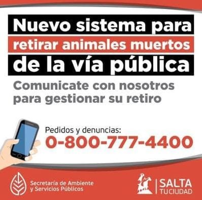 Nuevo número para retirar animales muertos de la vía pública- Nuevo número para retirar animales muertos de la vía pública