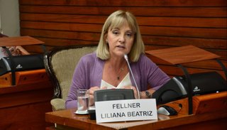 Liliana Fellner celebró la sanción de la Ley Brisa