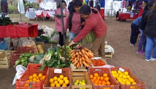 Cuatro años de la feria palmasoleña