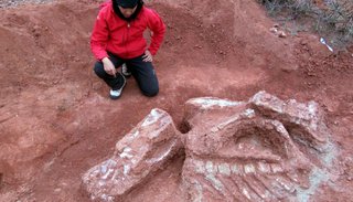 Descubren el dinosuario gigante más antiguo